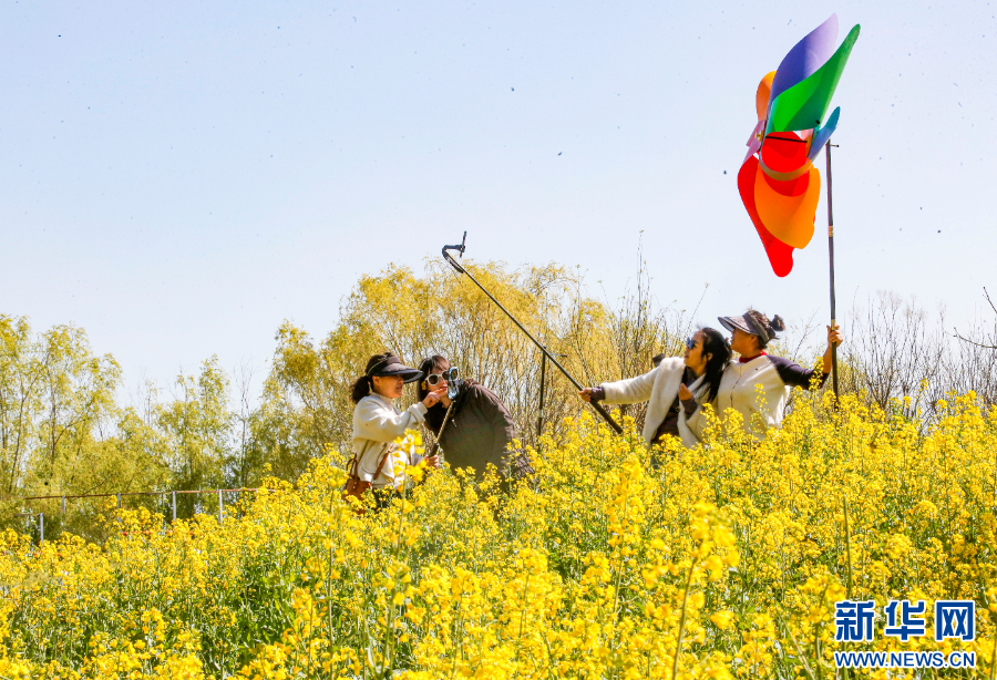 游客在封丘县陈桥湿地的油菜花观赏区游玩。