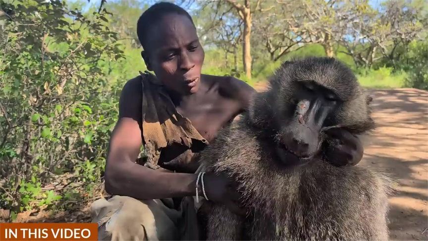 发现哈扎比部落狩猎狒狒并烹饪午餐，非常美味的饭菜
