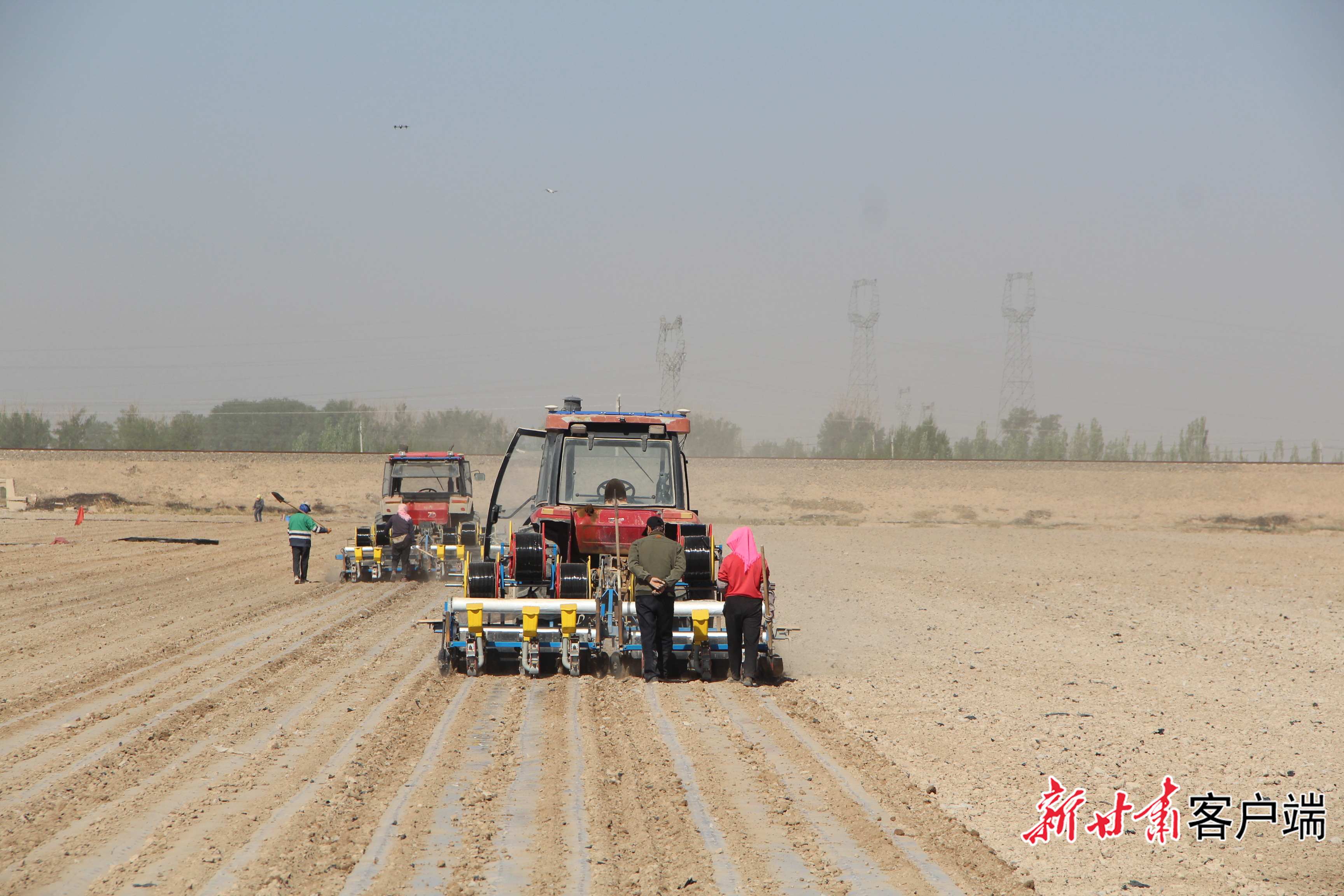 甘肃农垦金昌农场北斗导航无人驾驶农机覆膜　图片由甘肃农垦集团提供