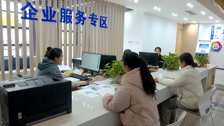 彭泽县行政审批局内的企业服务专区，企业人员正在办理相关业务。（彭泽县融媒体中心 供图）