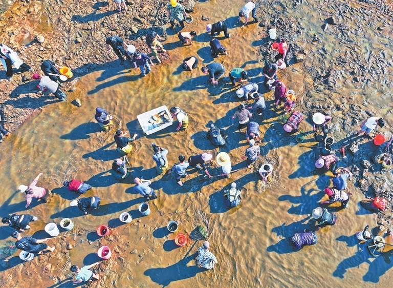 抓鱼“盘”塘这一当地常年开展的趣味活动，随着短视频的传播，持续吸引着线上线下群众观看、参与。