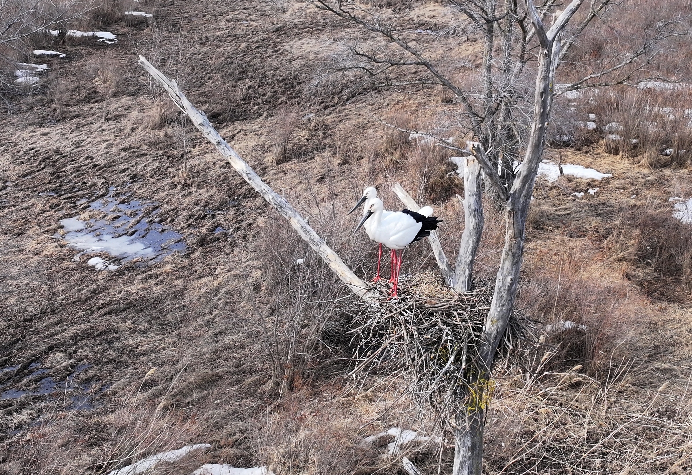 幸福的一家