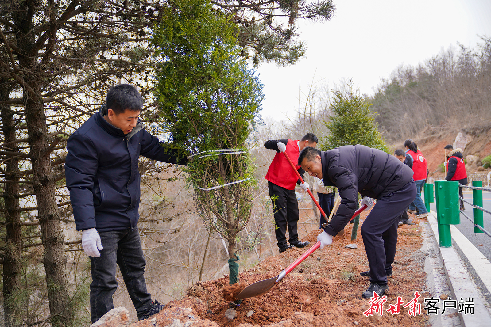 成县全县干部职工开展春季义务植树活动　新甘肃&middot;甘肃日报通讯员　陈争强