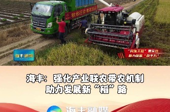 海丰：强化产业联农带农机制 助力发展新“稻”路