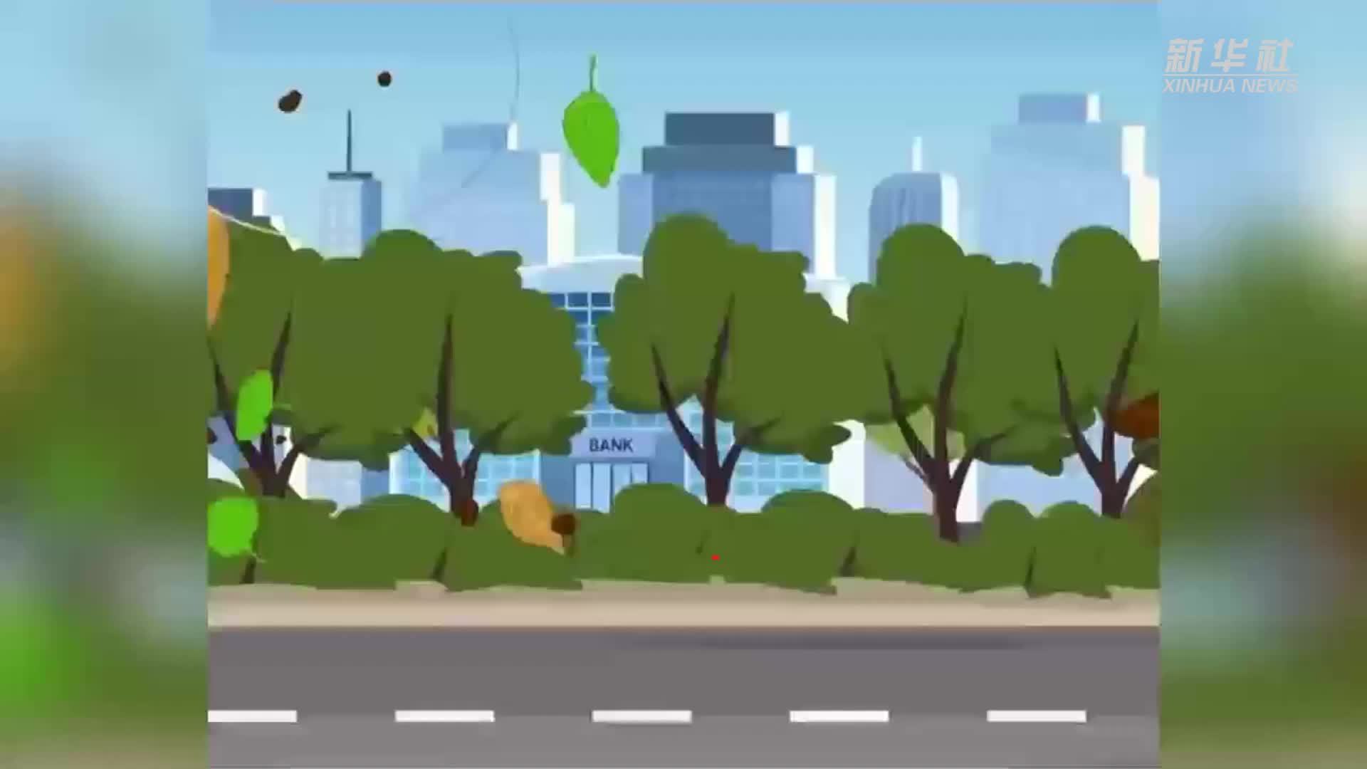 罕见持续性大风将至，如何防范？