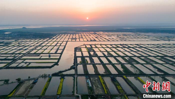 图为都昌县矶山湖水产养殖场。尹志 摄