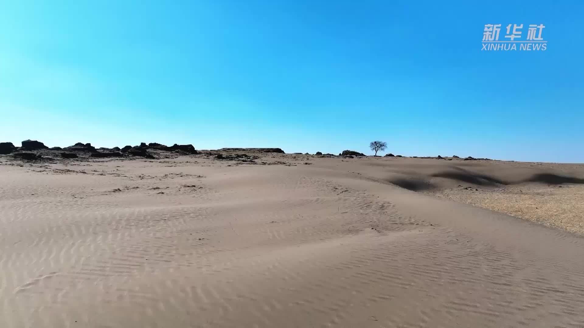 千城胜景｜吉林洮南：春风送暖候鸟归