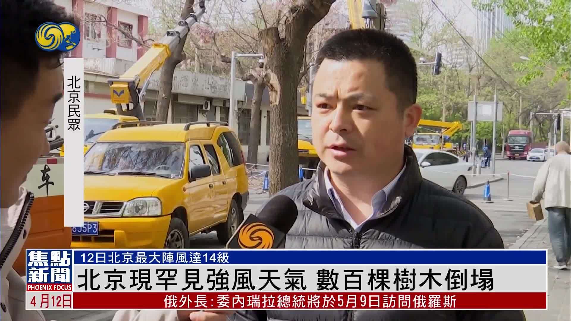 北京现罕见强风天气 数百棵树木倒塌