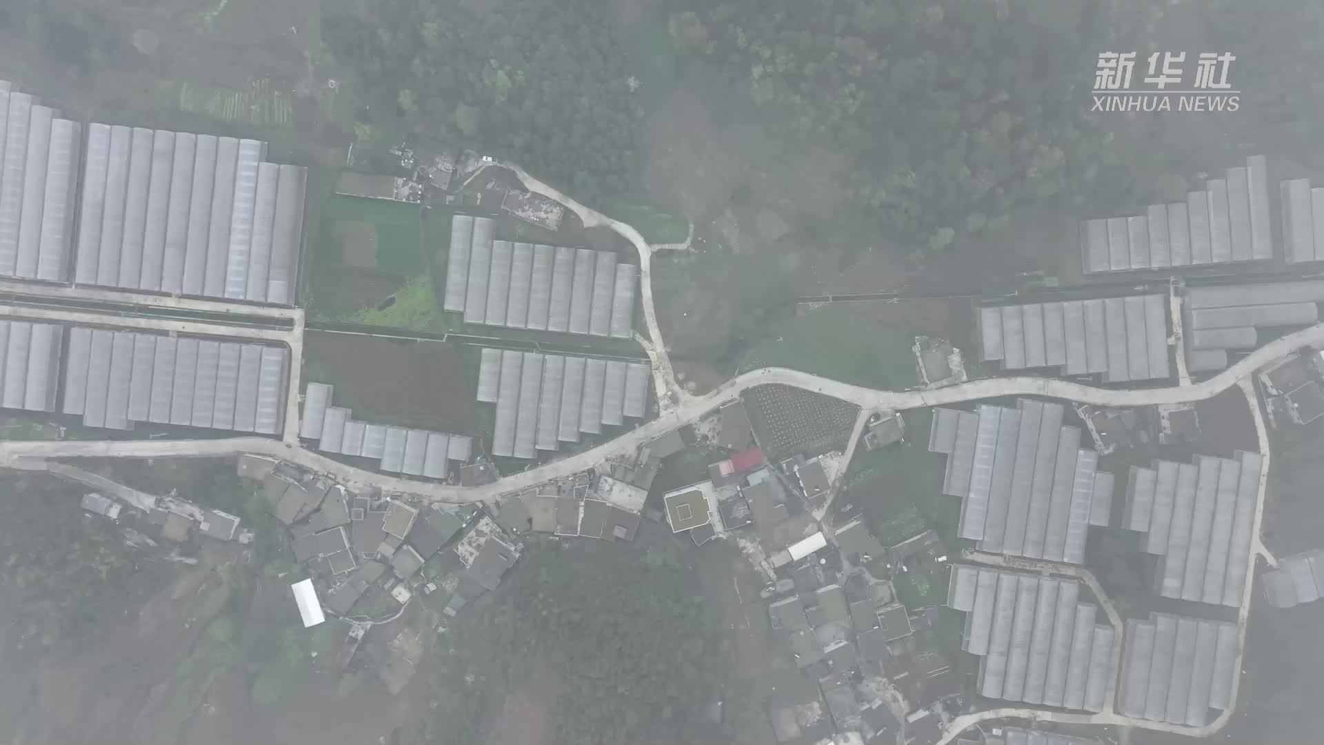 “智慧农业”让贵州山区种田有了“科技范儿”