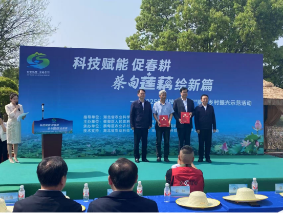 “藕”遇“哪吒”“闹春耕” 蔡甸“莲”通乡村振兴路