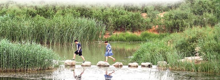 秦王川国家湿地公园风光美不胜收　本组图片均由兰州新区报记者罗晋业摄