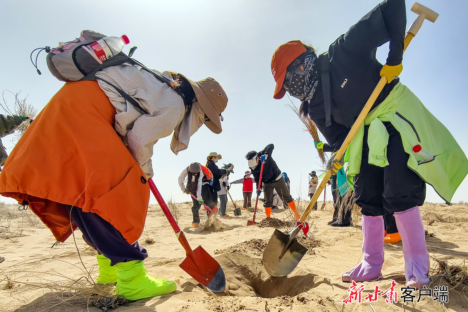 近日，“请到民勤种棵树”公益治沙活动在民勤县收成镇兴隆村治沙基地举行，来自全国各地的公益人士通过募捐、植树实践等形式，凝聚社会力量，助力荒漠化防治。新甘肃&middot;甘肃日报记者　丁凯