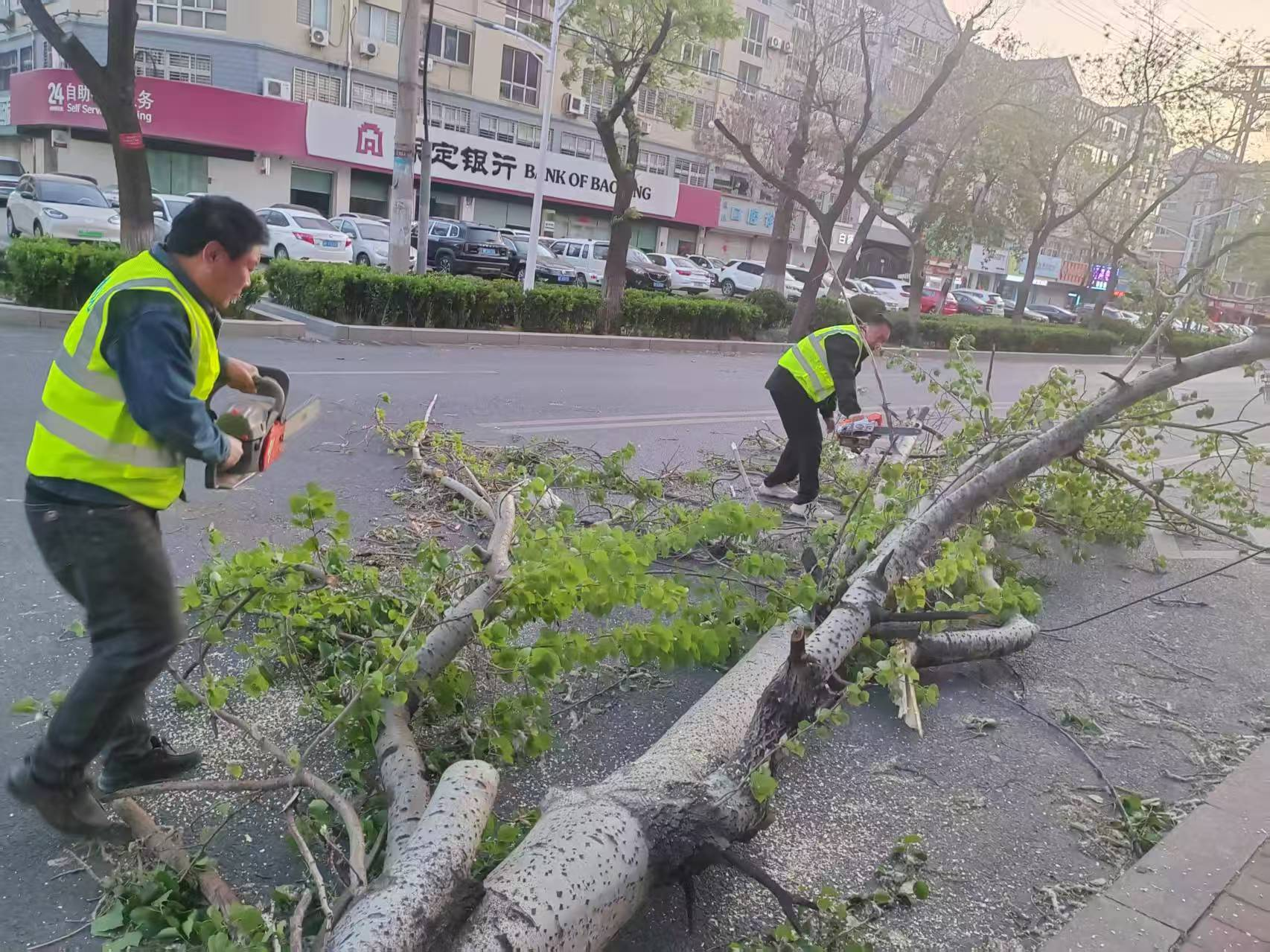 图：现场图片