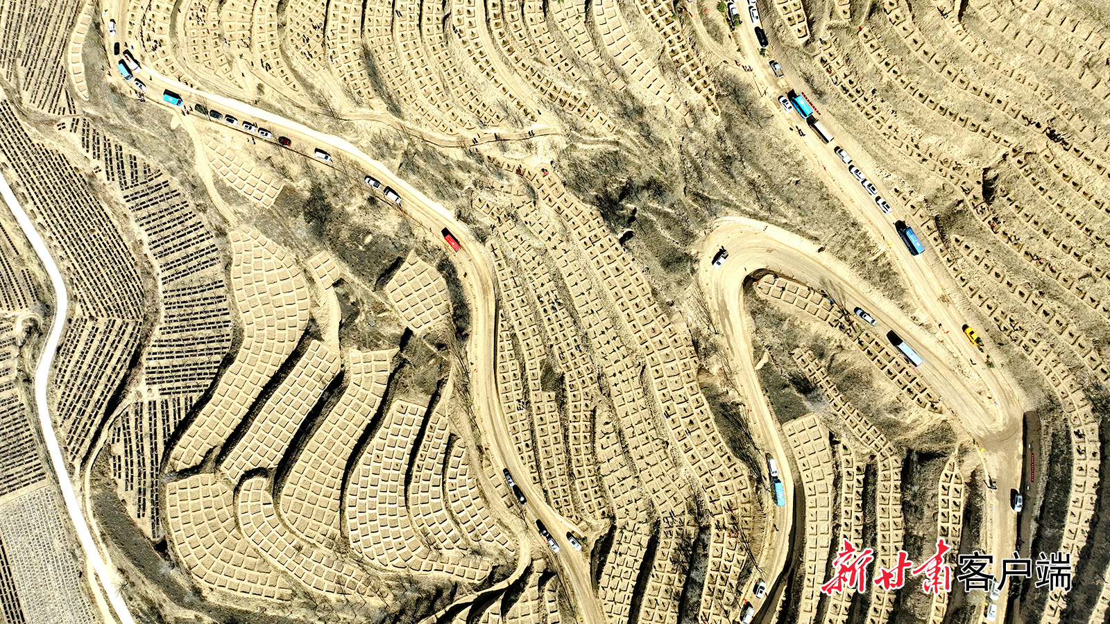 3月25日，静宁县组织干部职工、志愿者在威戎镇杨桥村荒山上开展义务植树活动，加快推进生态文明建设步伐。新甘肃&middot;甘肃日报通讯员　王毅　吴玺