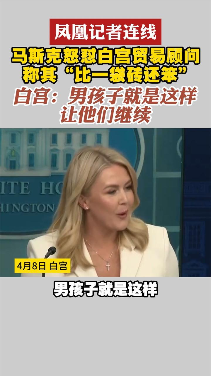 马斯克怒怼白宫贸易顾问 称其“比一袋砖还笨”白宫：让他们继续