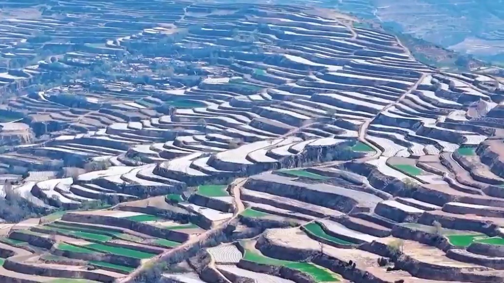 庄浪梯田：黄土地上的“掌纹”