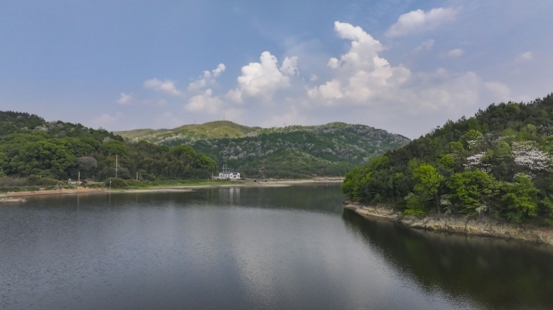 九江湖口县：泡桐花开春意浓