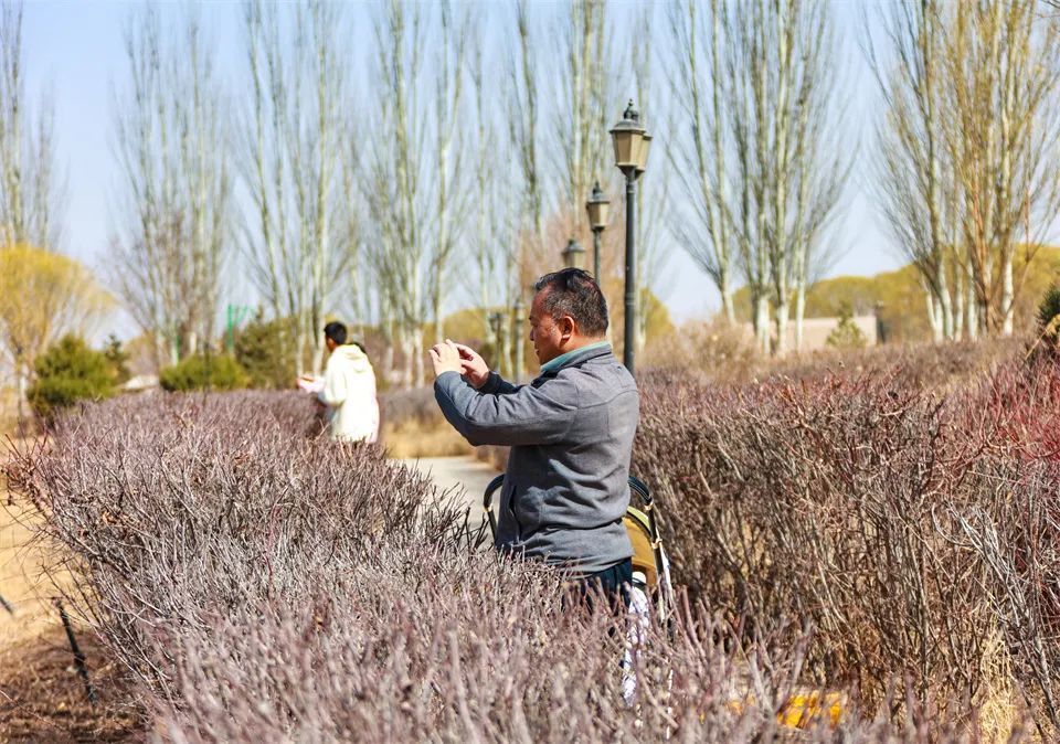 张掖花式撩客搅热清明假期　七彩丘陵引广西游人惊叹