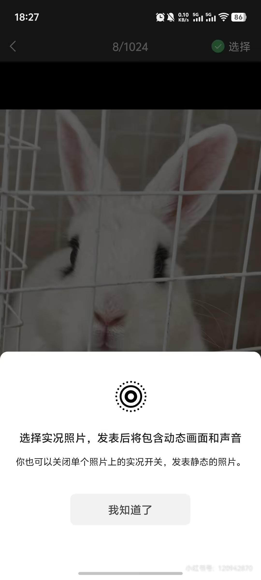 消息称安卓端微信开启朋友圈实况照片灰度测试