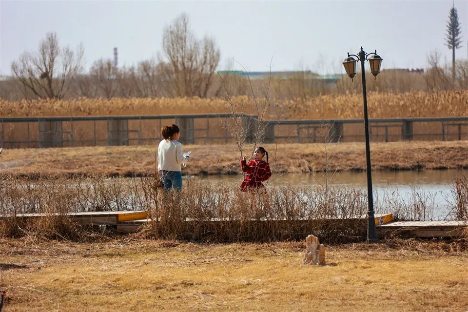 张掖花式撩客搅热清明假期　七彩丘陵引广西游人惊叹