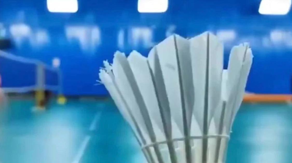 羽毛球涨幅超黄金，我们连羽毛球都要打不起了吗？