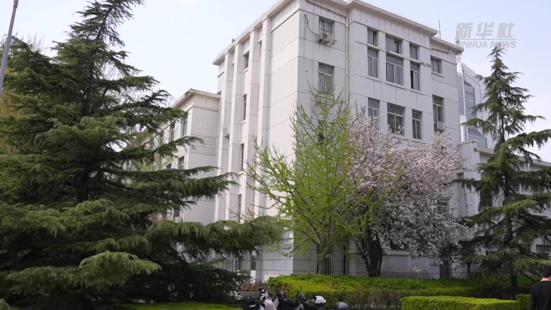 “无语良师”的生命教诲
