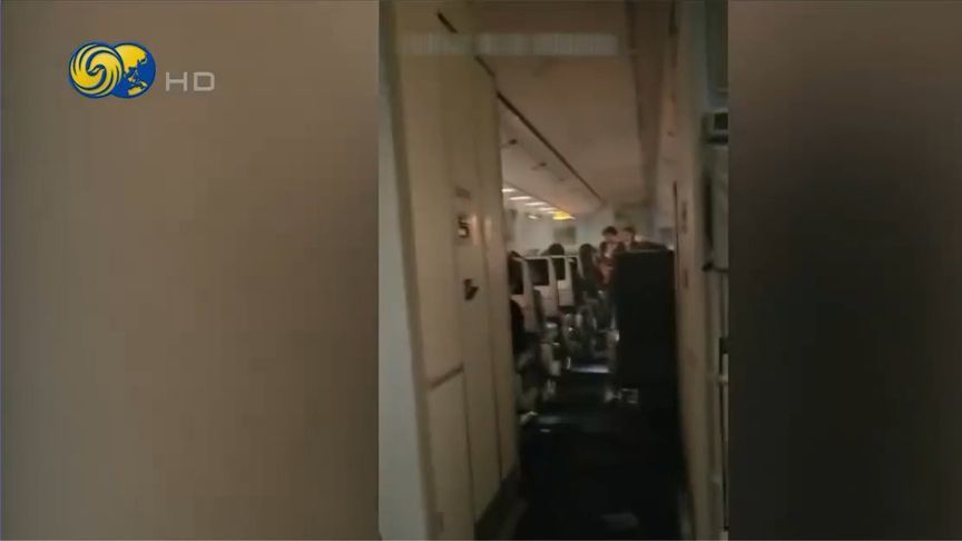 菲律宾飞美国航班冒烟，紧急降落日本，乘客：闻到强烈塑料烧焦味