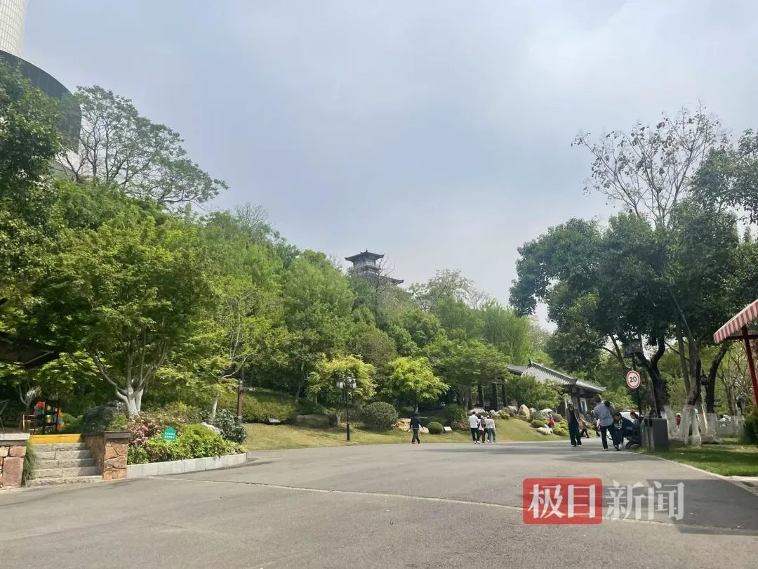 今日游客游龟山