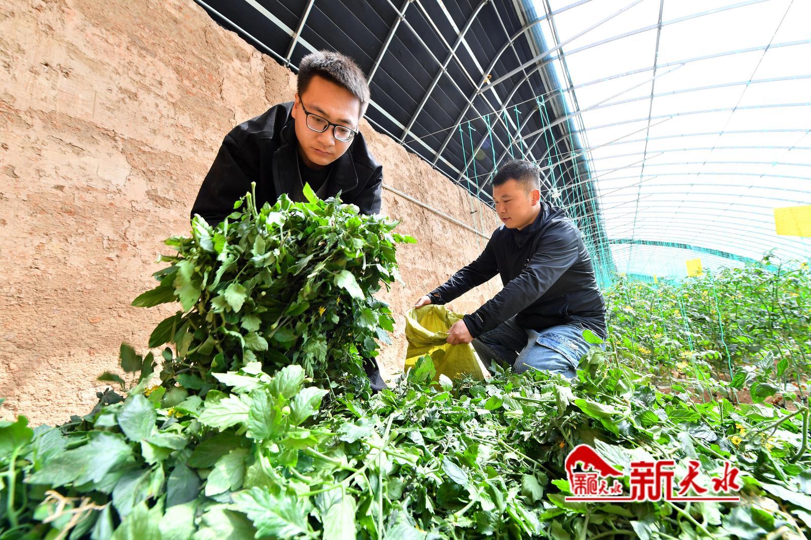 清理杂草、整理藤蔓都亲力亲为