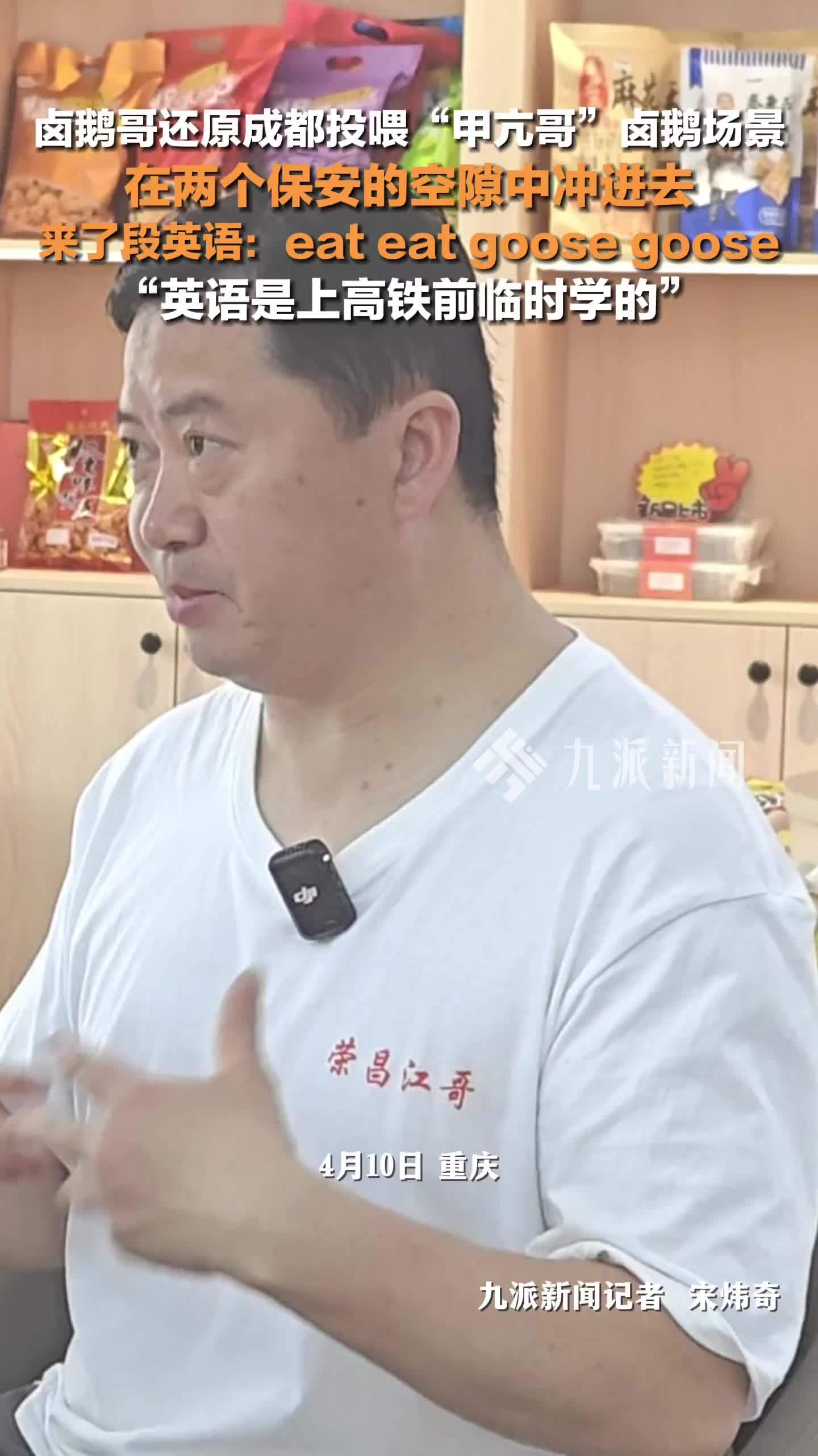 卤鹅哥还原首次投喂甲亢哥场景：来了段英语，英语是上高铁前临时学的