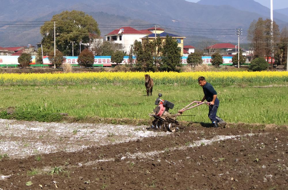 4月7日，奉新县上富镇庄田村的农民利用耕具机械翻松土地。 （熊国瑞 杨 俊 摄）