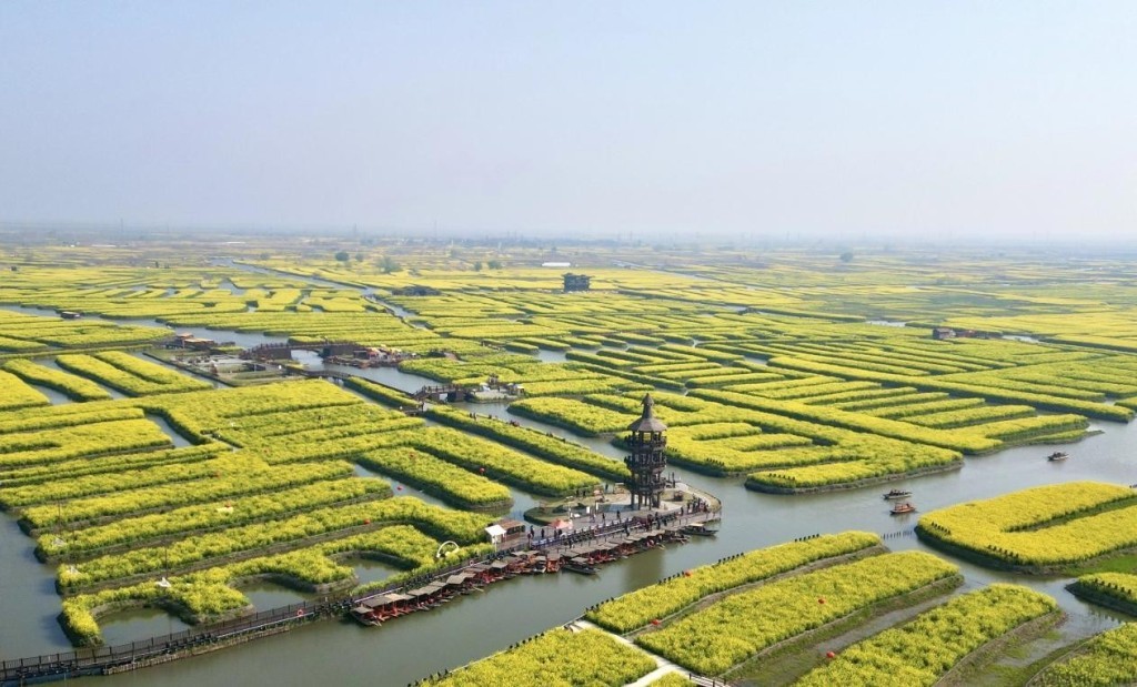 千垛景区。微信公众号“兴化发布” 图