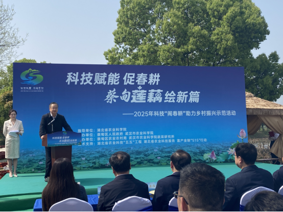 “藕”遇“哪吒”“闹春耕” 蔡甸“莲”通乡村振兴路