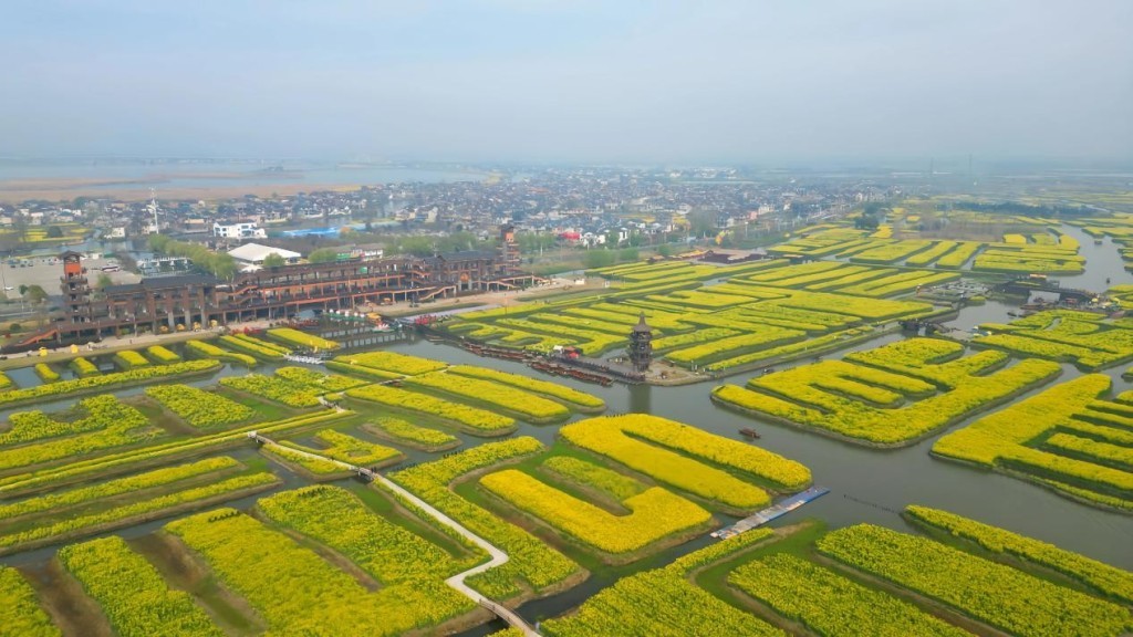 兴化垛田。微信公众号“兴化发布” 图