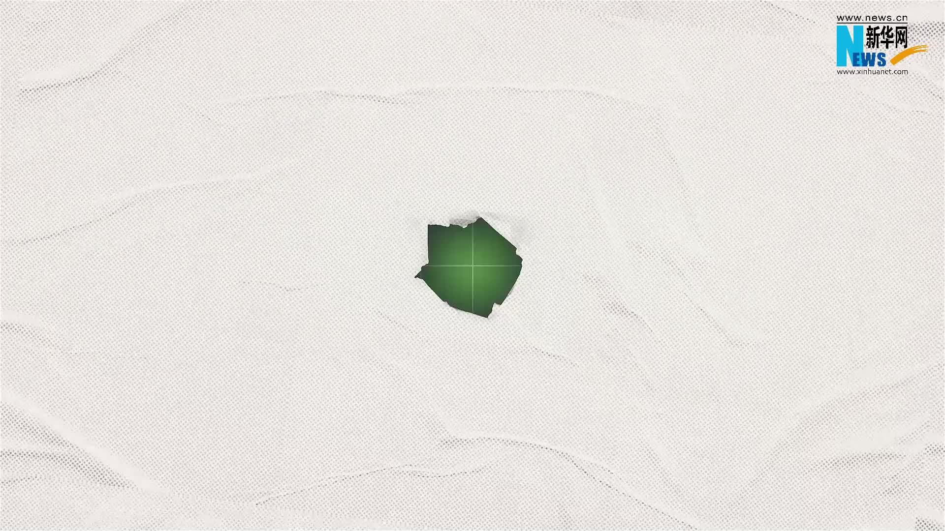 新时代中国调研行之文化中华|洛阳春日寻牡丹