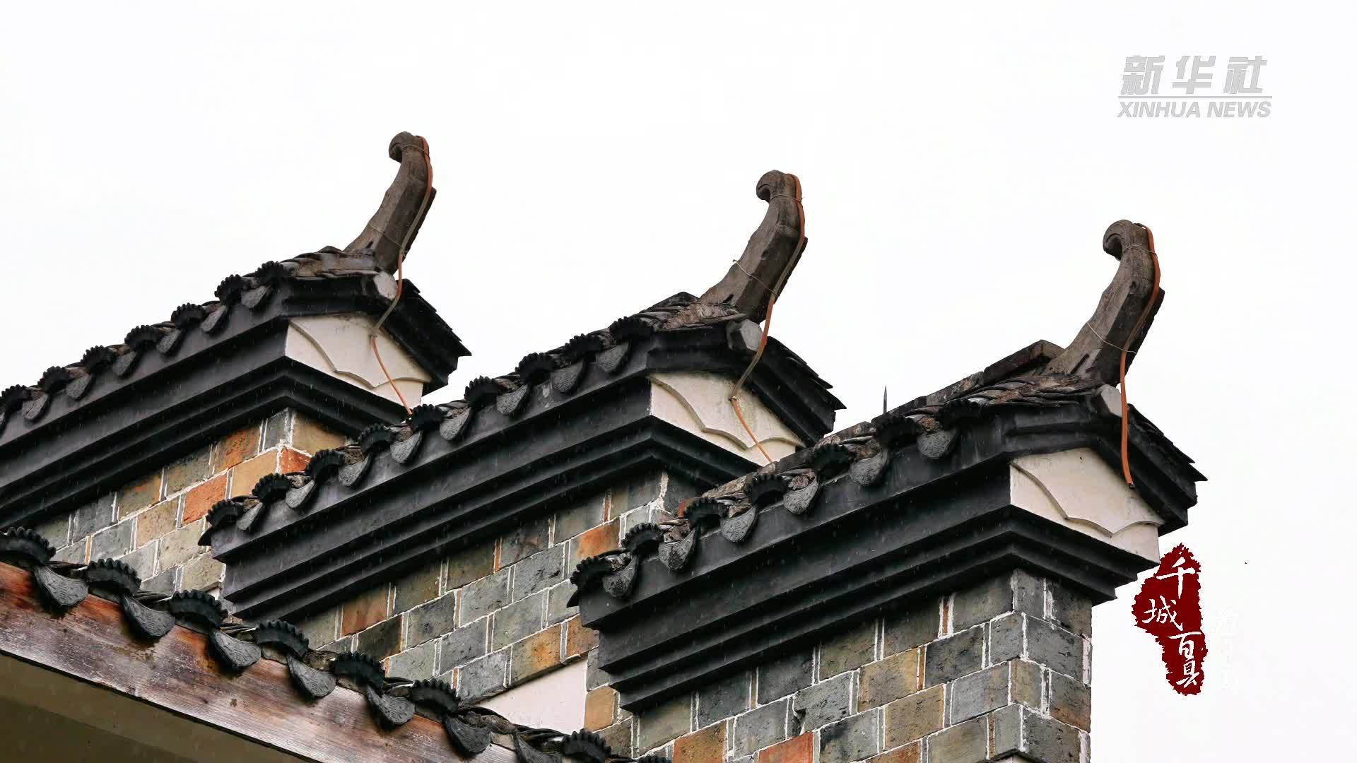 千城百县看中国｜寻闽味：红糟炒蕨菜