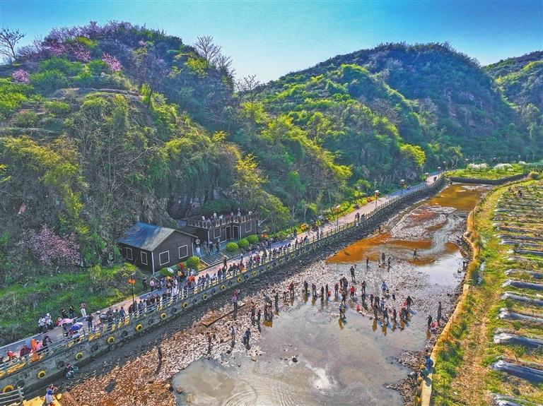 抓鱼“盘”塘录播现场，众多村民和游客挽起裤脚，加入抓鱼、摸螺蛳的队伍。