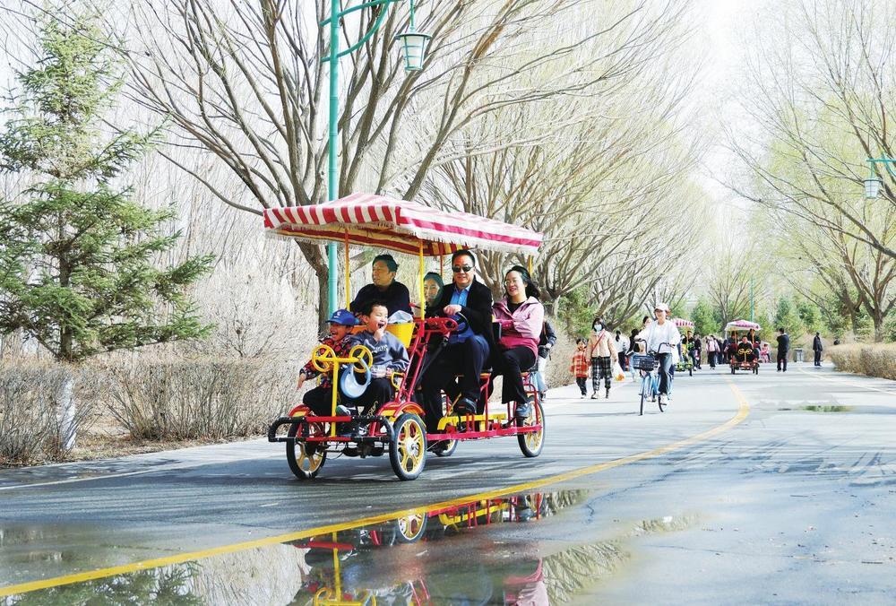 4月5日，游客骑观光自行车在张掖国家湿地公园游览。新甘肃·甘肃经济日报通讯员　成林　摄