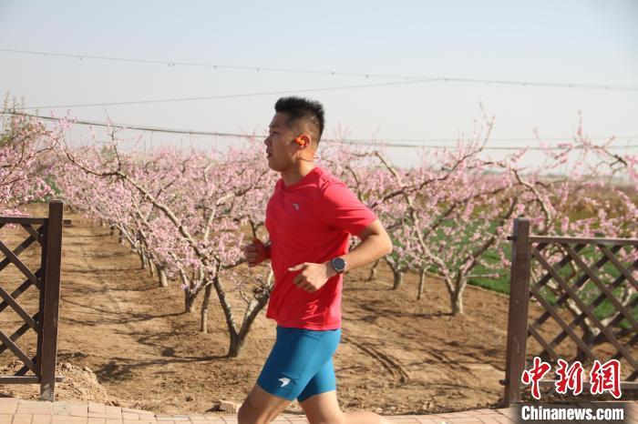 河北深州2000多人共赴万亩蜜桃园“奔跑盛宴”