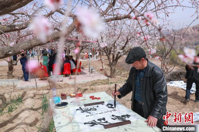 图为书法爱好者在杏花林现场挥毫泼墨　陈坤　摄