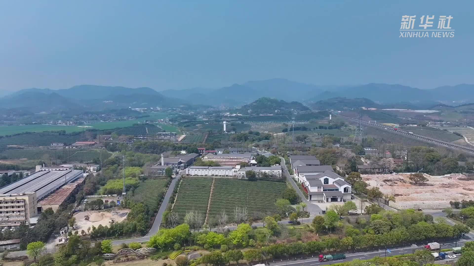 杭州余杭：以茶为媒 探索茶旅融合新路径