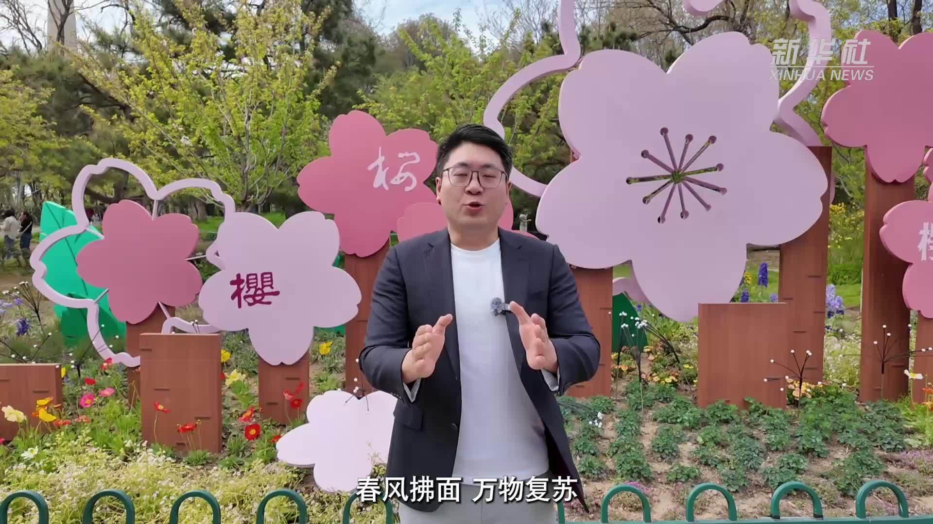 提振消费一线观察｜北京玉渊潭公园春意盎然 文旅经济活力十足