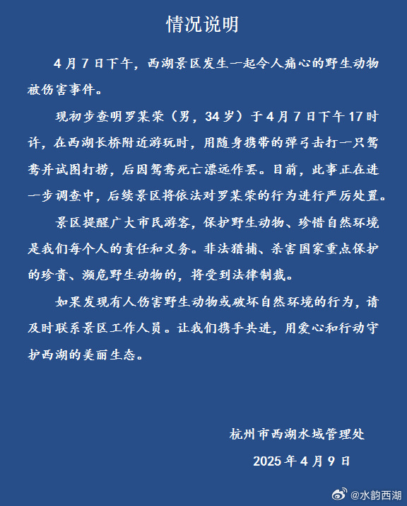 杭州通报男子弹弓打死西湖鸳鸯