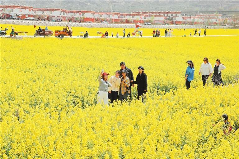 陇南市武都区坪垭藏族乡油菜花竞相绽放,吸引游客前来踏青赏花。新甘肃·甘肃日报通讯员 李旭春