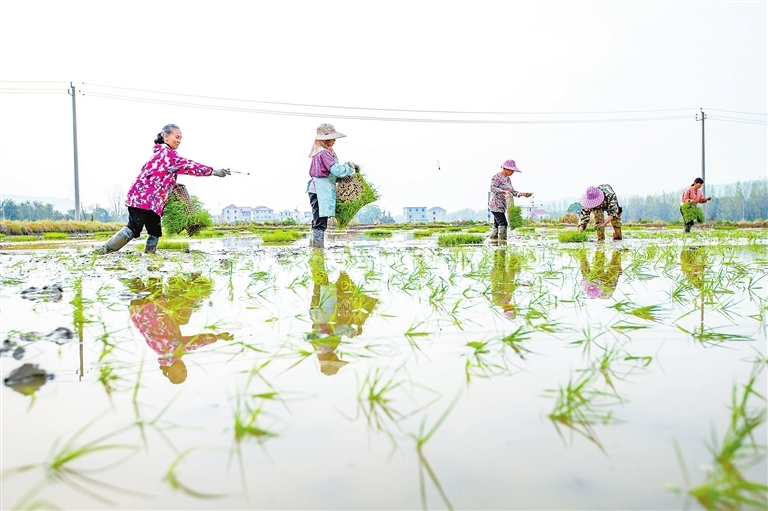 都昌：春耕好时节（图）