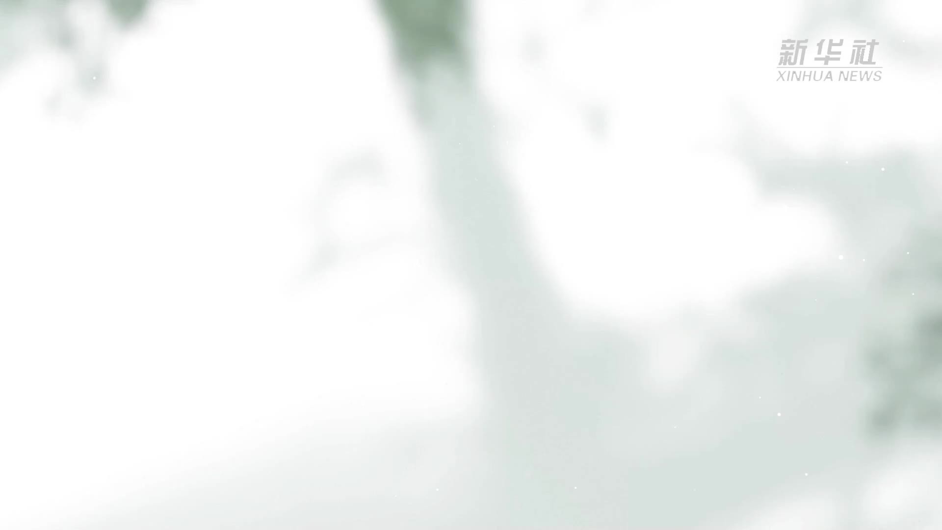 公益微视频｜原创MV：一曲欢歌 尽现宜居宜业和美乡村如画图卷