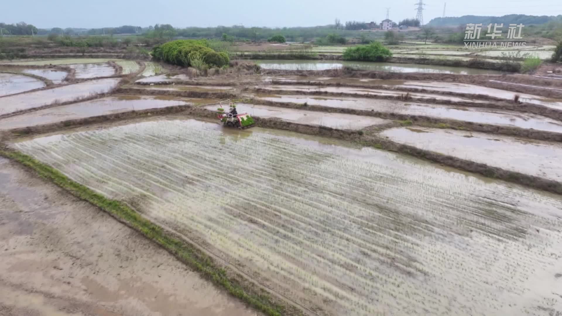 湖南冷水滩：智慧农业跑出春耕“加速度”