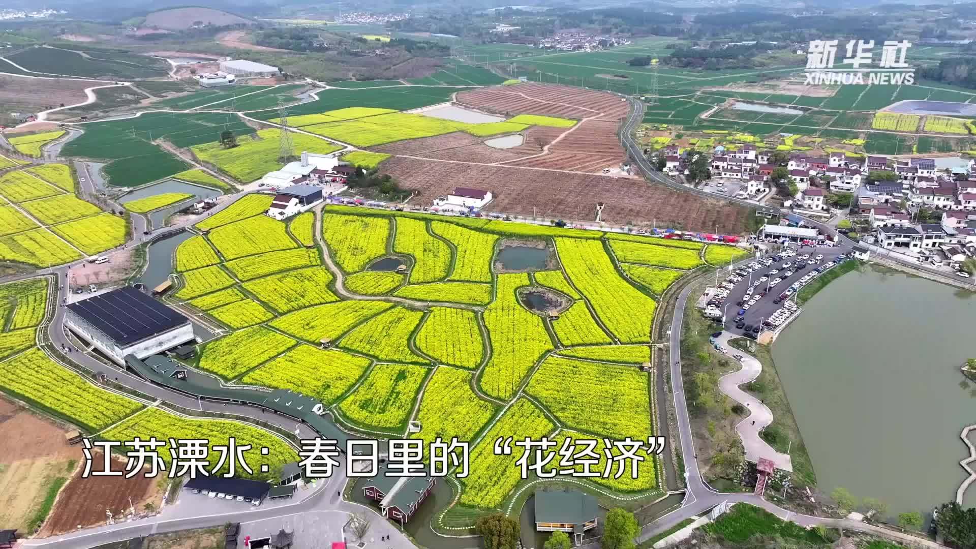 江苏溧水：春日里的“花经济”