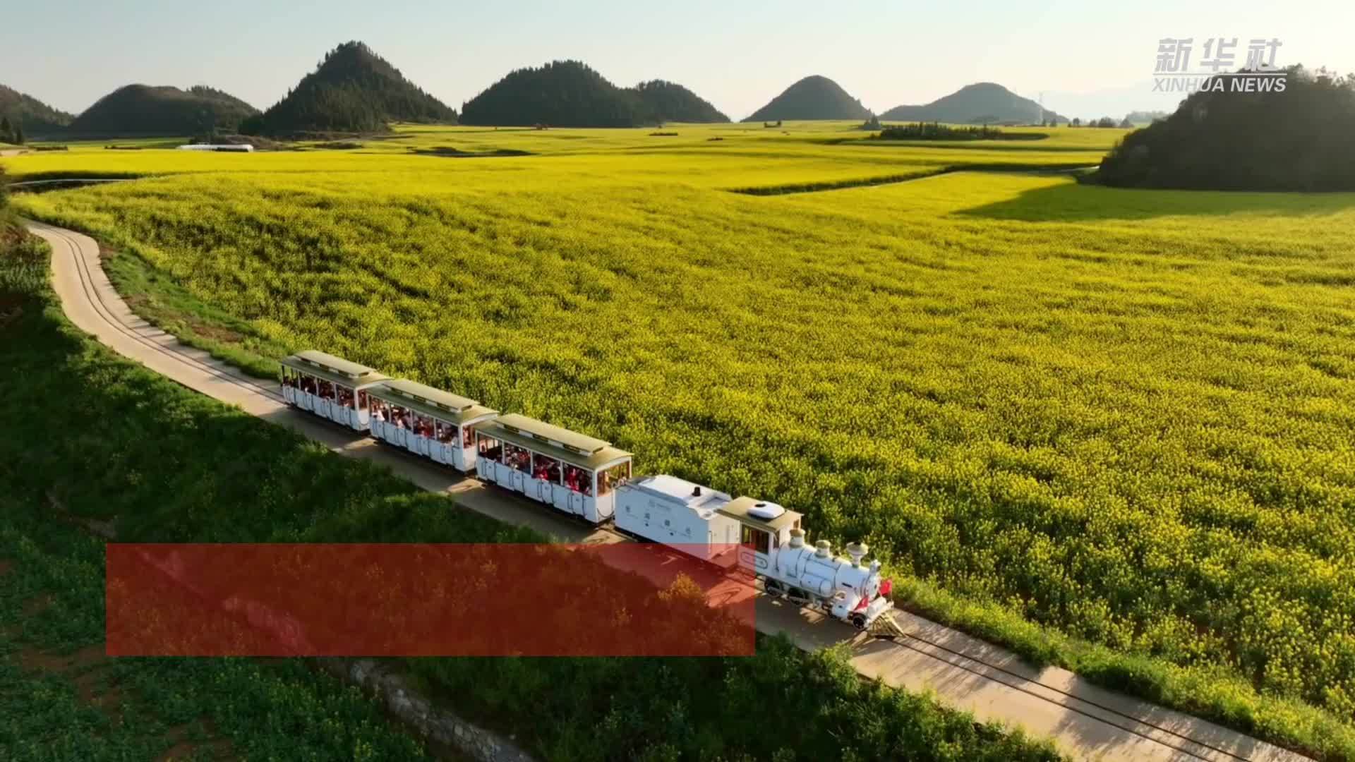 气候变化下，花期提前成趋势
