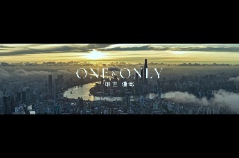 地王潮下的收藏窗口期，为这一栋开启